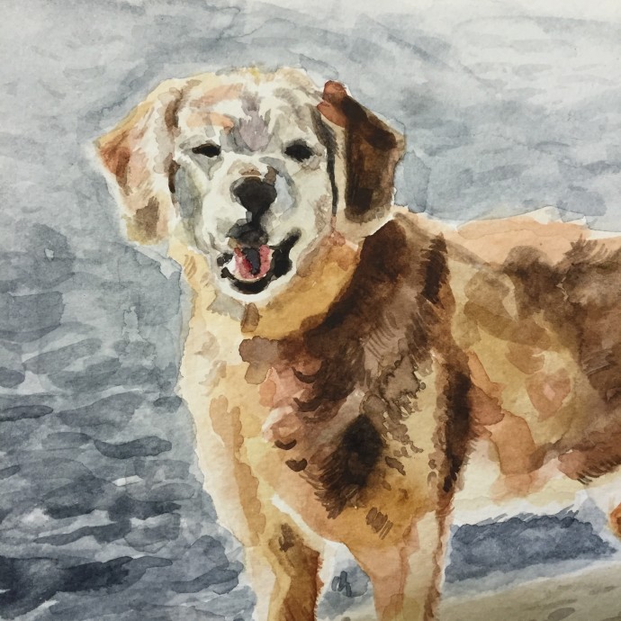 "Sally" (detail) 9x12, Watercolour, 2015.