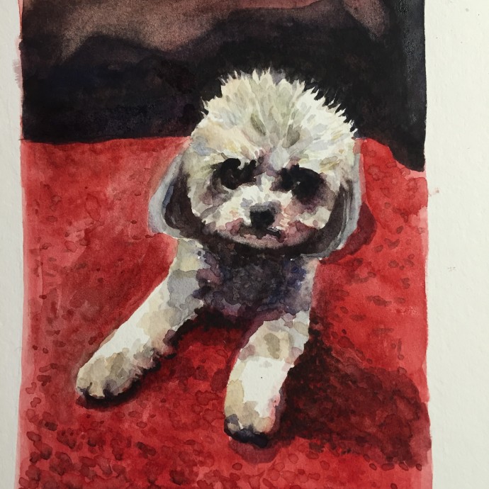 "Hector," 6"x8", Watercolour, 2015.