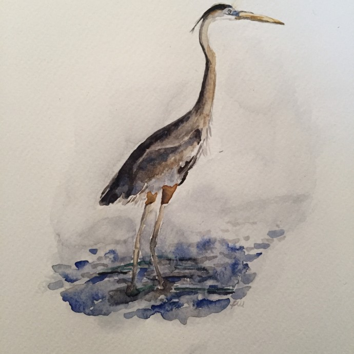 "Heron" 6"x3.5", Watercolour, 2016.