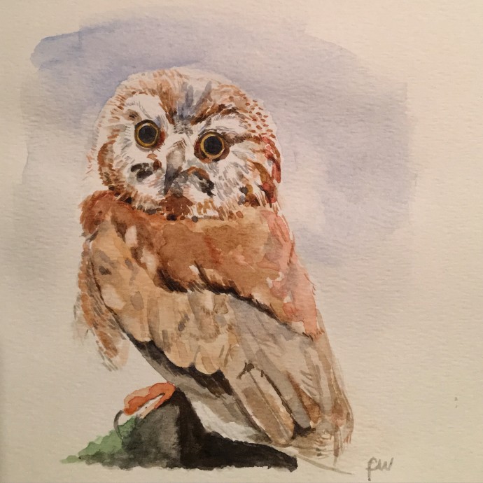 "SuperbOwl Sunday" Watercolour, 5.5"x6"